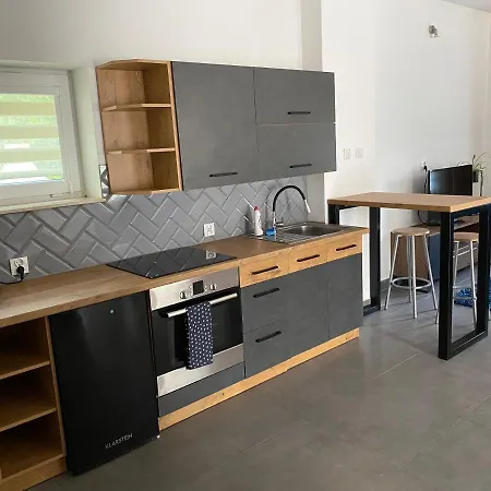 Apartamenty Pod Wierzbami Dwikozy Екстер'єр фото