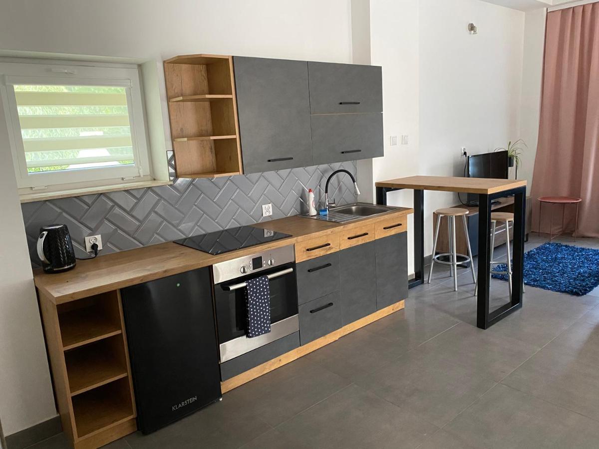 Apartment Pod Wierzbami