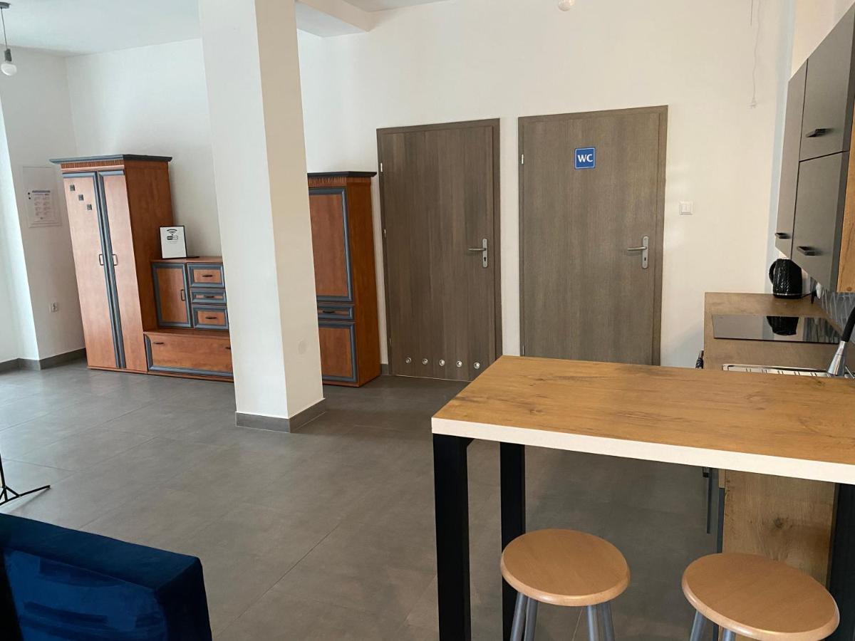 Pod Wierzbami Apartment